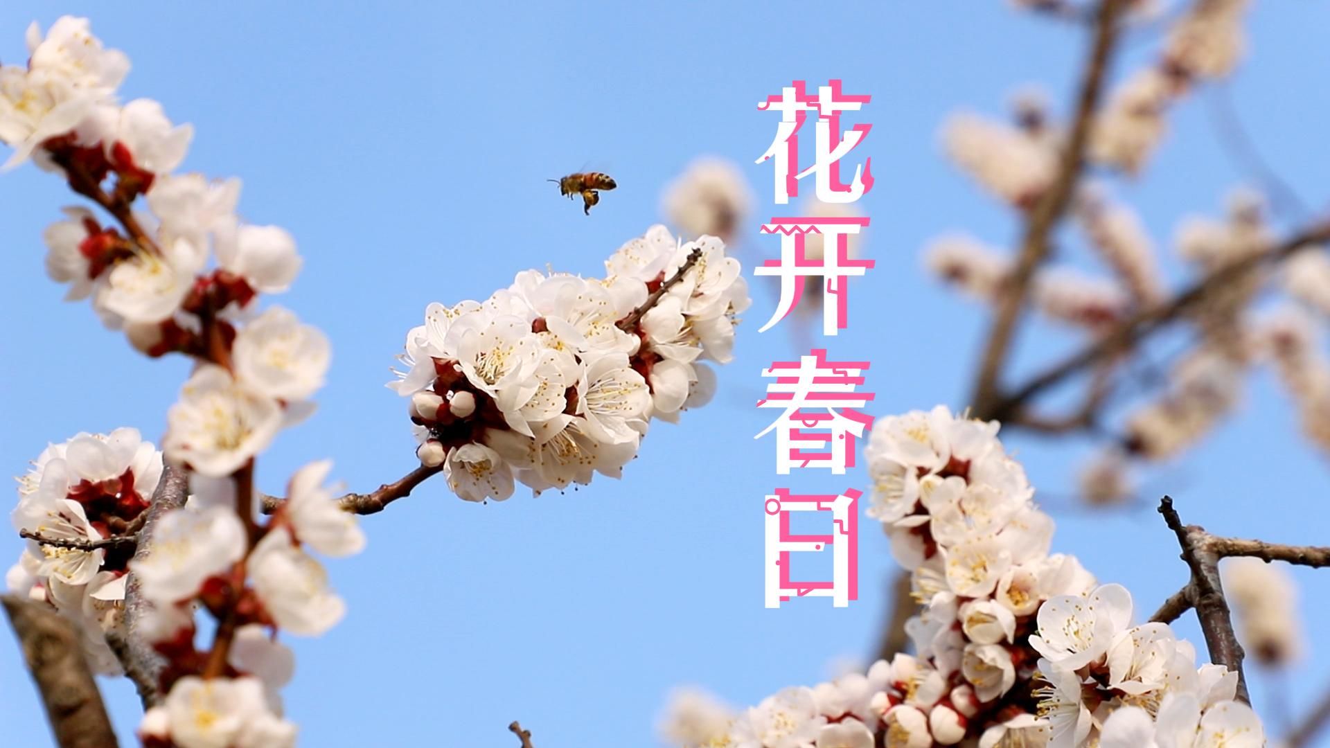yl23455永利官网