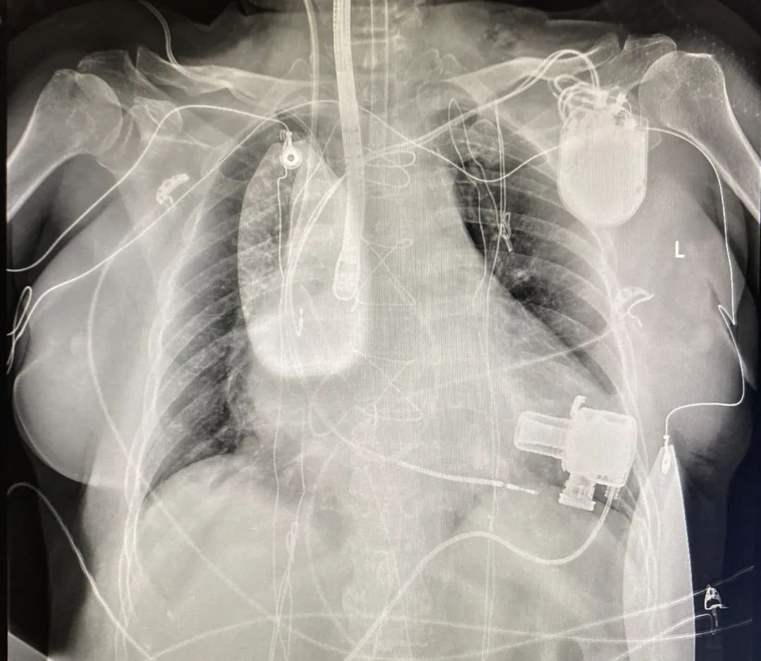 yl23455永利官网