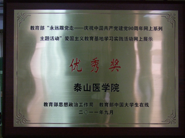 9--教育部中国大学生在线_铜牌1.jpg