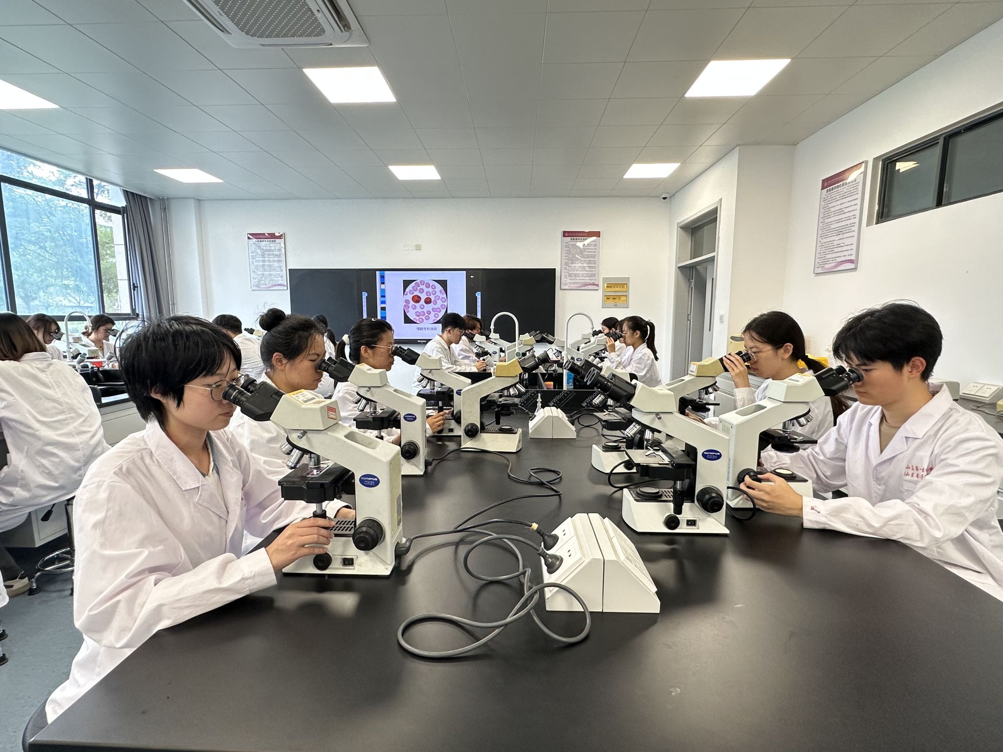 yl23455永利官网
